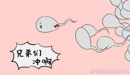 男性不育檢查治療調(diào)理